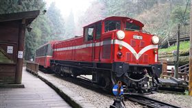 阿里山遊樂區開園　林鐵本線仍停駛颱風白鹿的海陸警報解除，林務局阿里山林業鐵路及文化資產管理處表示，阿里山遊樂區內的沼平、神木、祝山3支線已完成巡檢及整備，配合恢復營運，不過，嘉義至十字路站的本線仍暫停行駛。圖為阿里山林鐵。（林鐵及文資處提供）中央社記者葉子綱傳真  108年8月25日