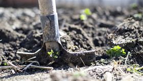尋寶,護理師,金手鐲,古董,青銅時代