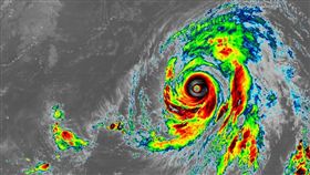 「野獸」哈吉貝換眼！堪稱活體教科書
颱風