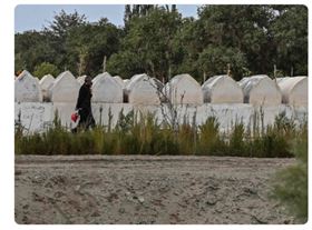 中國,根除,新疆維吾爾族,身分認同,破壞墓地(圖/截圖自推特)