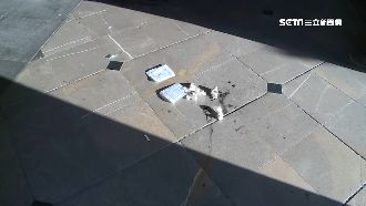 少年國慶夜唱爆衝突！惡徒持刀砍濺血