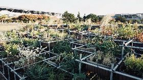 台中花博地景裝置藝術  獲IFLA國