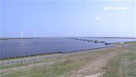 台電,彰化,彰濱雙綠能,生態