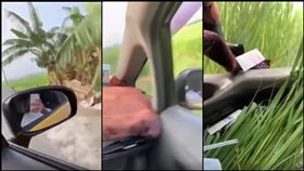 田中,瘋傳,阿伯,計程車,鄉間,小路,落田,出事了