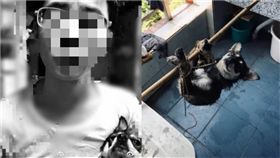 高材生長期虐殺流浪狗…剝皮肢解還食用！狂PO血腥細節圖：狗氣管不好切（圖／微博）