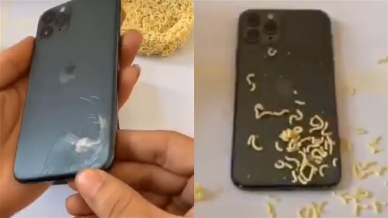 泡麵修哀鳳11　網驚呆：會生螞蟻吧