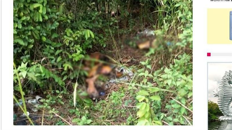 肉被蛆覆蓋…工友驚見切8段腐爛屍塊