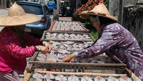 戀戀澎湖海味　品嚐故事菜（3）澎湖縣政府旅遊處表示，秋冬季節正是海鮮最為肥美的季節，配合「戀戀海味」系列活動推出美食假期，除可瀏覽澎湖秋冬海島另類的島嶼風情外，亦能享用海鮮美食佳餚。中央社　108年10月11日