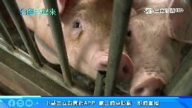 A(業配)朵茉秋保養1924I182