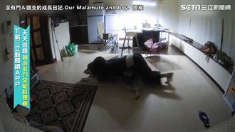 為請汪回房就寢　奴才化身人肉推汪機