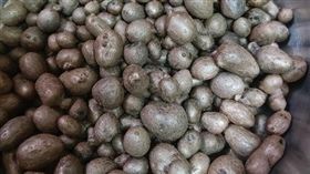 阿婆,菜市場,女兒,山藥子,暖心,體貼　圖／翻攝爆怨公社