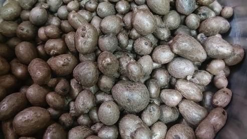 嬤坐地賣豆！女兒狂盧想買　真相暖炸