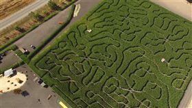 迷宮,騷擾,女友,限制令,直升機,躲藏,藏匿,追捕,搜查,美國,　圖／翻攝自YouTube