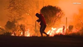 美國,南加州,野火,野兔,英雄,火場（圖／翻攝自ABC7 YouTube
）https://www.youtube.com/watch?v=sFMehG2tDcA