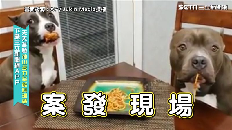 狗狗偷吃被逮！無辜大眼超可愛