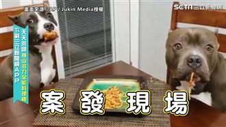 狗狗偷吃被逮！無辜大眼超可愛