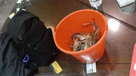 烤蝦,刺青,打霧,打折,女友　圖／翻攝爆怨公社