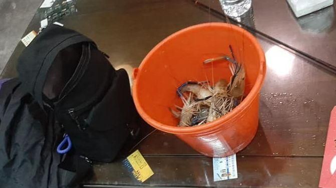 吃蝦只帶5百！打霧哥盧打折　他傻眼