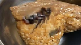 肉粽,蟑螂,蛋白質,油蔥,網友　圖／翻攝爆笑公社