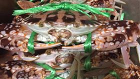 秋蟹,花蟹,價格,龜吼漁港,餐廳,業者,連假