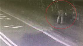 新北,新店,碧潭橋,國旗,監視器（圖／翻攝畫面）