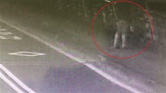 碧潭橋24面國旗遭毀！醉男犯案被逮