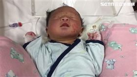 高雄,荔枝園,女棄嬰,社會局（圖／翻攝畫面）