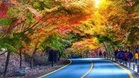 （圖／Tripbaa趣吧！亞洲自由行專家）