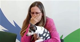 一隻名叫「女公爵」的獵狐犬2007年2月某天溜出佛羅里達州奧蘭多的家門，之後便一去不復返，時隔12年，10月11日，終於和主人團圓了。（圖取自facebook.com/humaneanimalrescue）