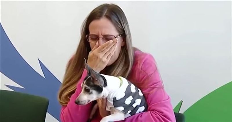 電影翻版　愛犬失散12年千里外相遇