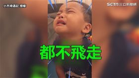 ▲弟弟整個崩潰大哭。（圖／小杰埼遇記 授權）