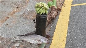 武陵,山路,祭山神,死魚,香蕉(翻攝自爆廢公社公開版)