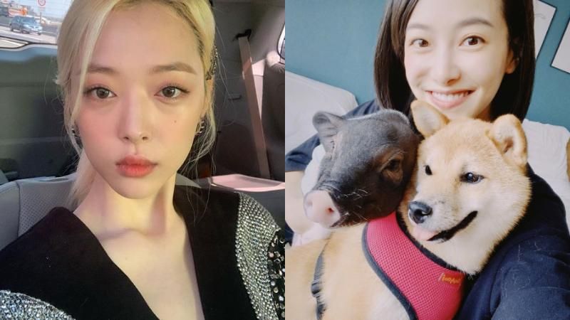 拍戲中聞雪莉死訊！宋茜第一反應曝光