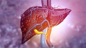 名家專用／草根影響力新視野（勿用）
