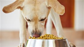 美國寵物食品掃貨月(業配勿用)