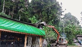 奮起湖么妹山莊違建　嘉義林管處拆除（