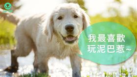 ▲圖／翻攝自PetTalk官網