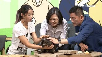 立委參選人攻寵物票！釣出超大咖貓奴