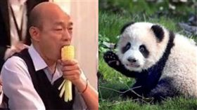 芒果乾之亂！國民黨才掀口水戰…國台辦就出嘴噴「毒酒」！