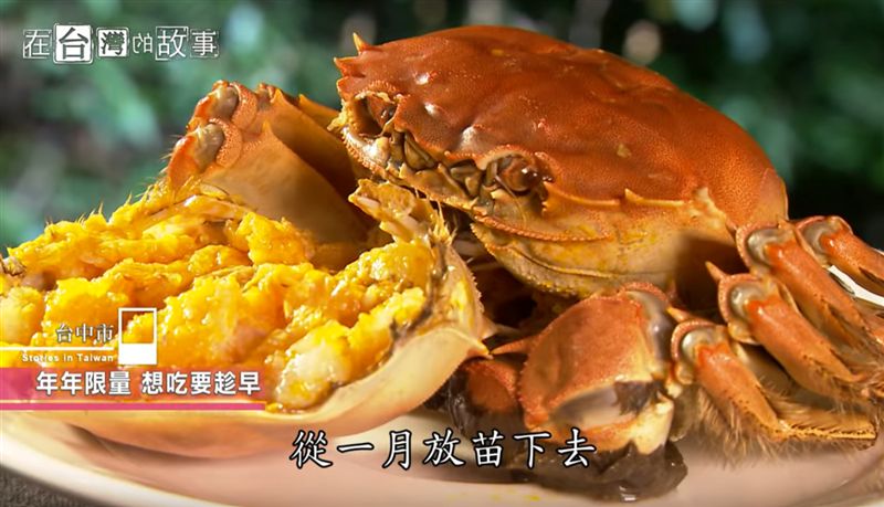 台中美味無毒的大閘蟹　還是限量的喔