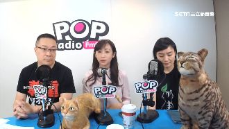 疑韓粉檢舉社團　許淑華嘆：放過貓吧