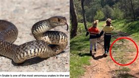 差一步就斃命！媽拍溫馨背影照 驚見兒腳邊藏威脅(圖/太陽報)