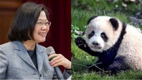 國台辦今日批評「芒果乾」，引來台灣網友熱議。（組合圖／資料照）