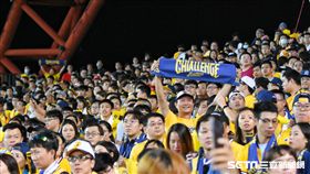 ▲台灣大賽Lamigo中信兄弟林智勝多猛象迷。（圖／記者王怡翔攝影）