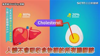 打破蛋黃迷思！多吃蛋不會增加膽固醇