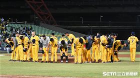 中信兄弟落敗。（圖／記者王怡翔攝影）