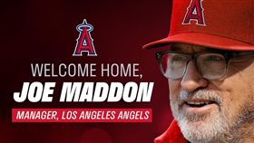 ▲梅登（Joe Maddon）接掌洛杉磯天使。（圖／翻攝自天使推特）