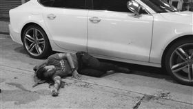 民陣召集人岑子杰10月16日又遭人持鐵鎚攻擊（圖／翻攝自唐生大地震臉書）https://reurl.cc/lLvWy9