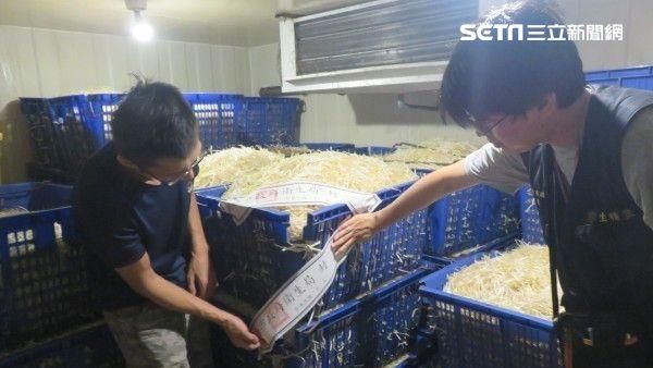 保險粉漂白豆芽菜　黑心一家人全慘了