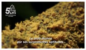 法國,巴黎動物園,展示新物種,擁有,720種性別(圖/截圖自youtube)